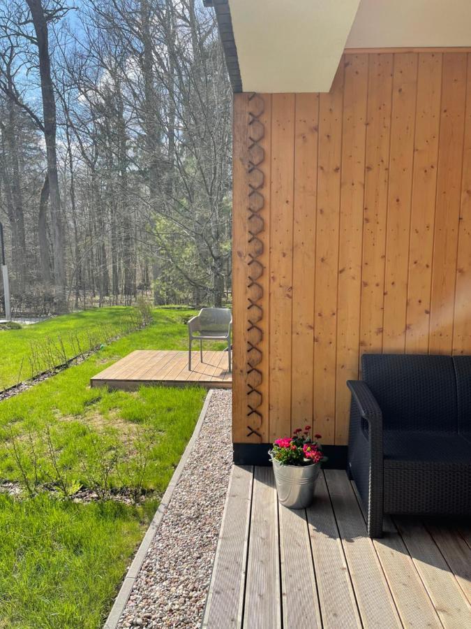 Apartament Magia Puszczy Z Widokiem Na Puszcze Bialowieska Hajnowka Bagian luar foto