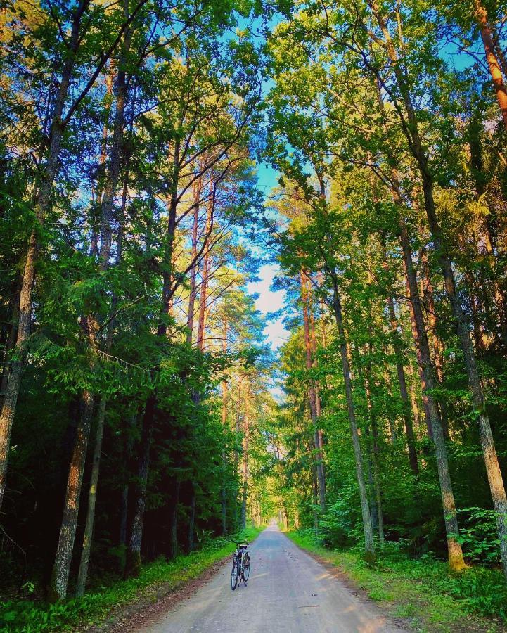 Apartament Magia Puszczy Z Widokiem Na Puszcze Bialowieska Hajnowka Bagian luar foto