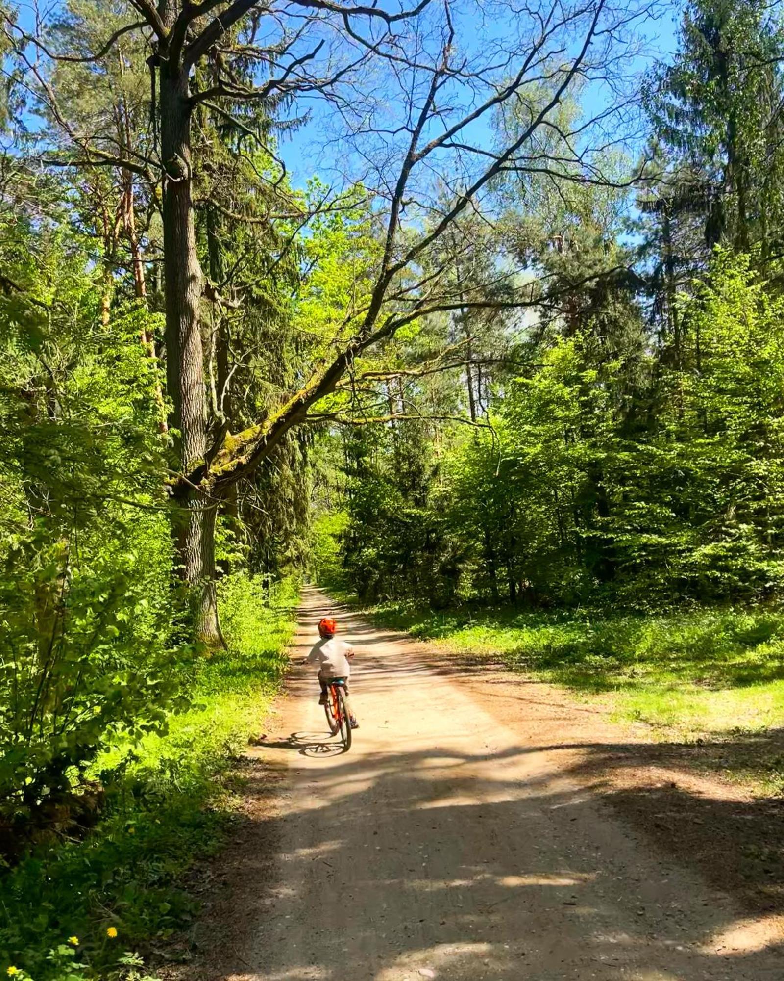 Apartament Magia Puszczy Z Widokiem Na Puszcze Bialowieska Hajnowka Bagian luar foto